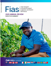 2025 Fias Executive Summary