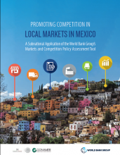 Promoting Competition in Local Markets in Mexico